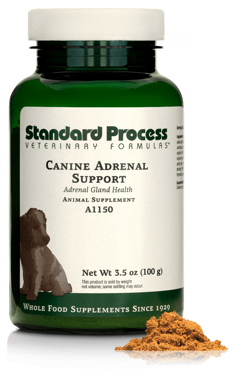 A closer look at Canine Well Being Food With Mango Leaf For Adrenal Health