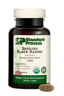 Spanish Black Radish 90ct