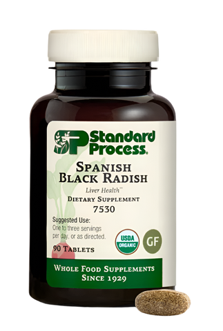 Spanish Black Radish 90ct