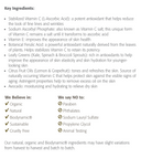 CITRUS KALE MASQUE